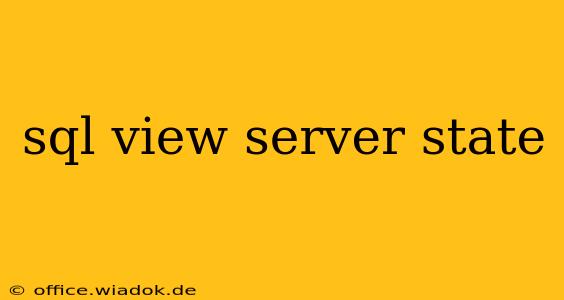 sql view server state