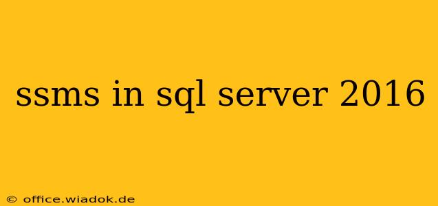 ssms in sql server 2016