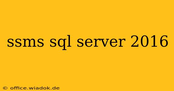 ssms sql server 2016