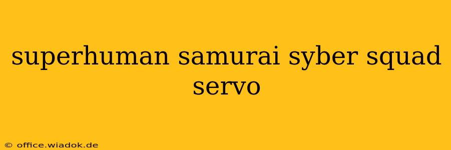 superhuman samurai syber squad servo