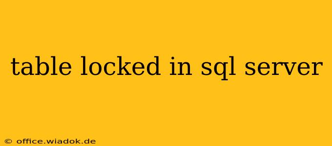 table locked in sql server