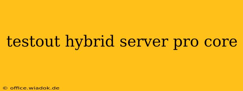 testout hybrid server pro core