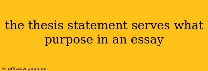 the thesis statement serves what purpose in an essay