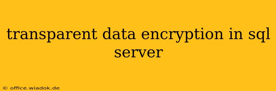 transparent data encryption in sql server