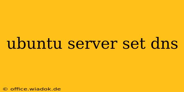 ubuntu server set dns