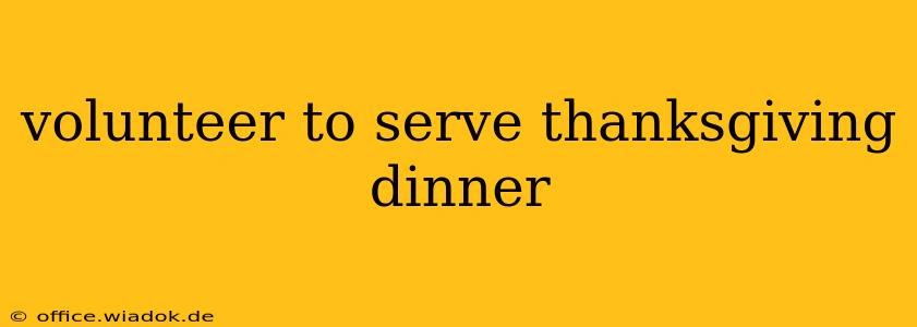 volunteer to serve thanksgiving dinner