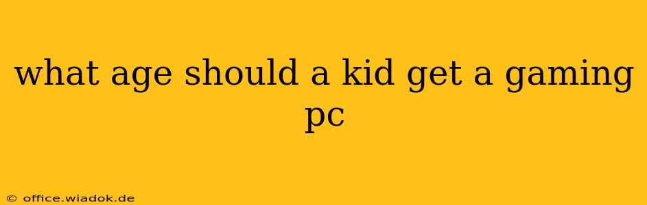 what age should a kid get a gaming pc