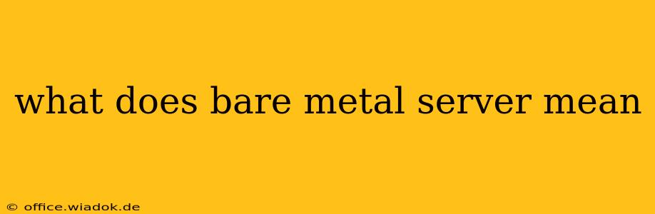 what does bare metal server mean