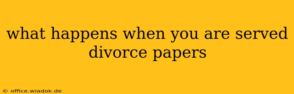 what happens when you are served divorce papers