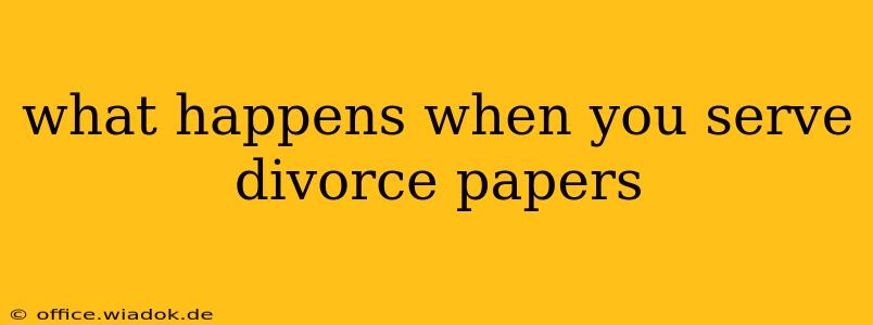 what happens when you serve divorce papers