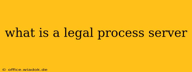 what is a legal process server