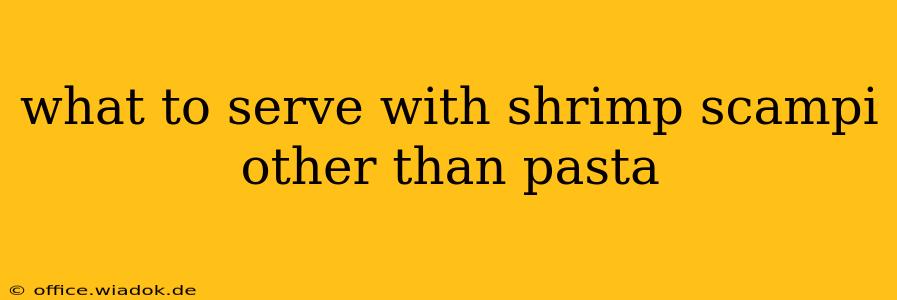 what to serve with shrimp scampi other than pasta