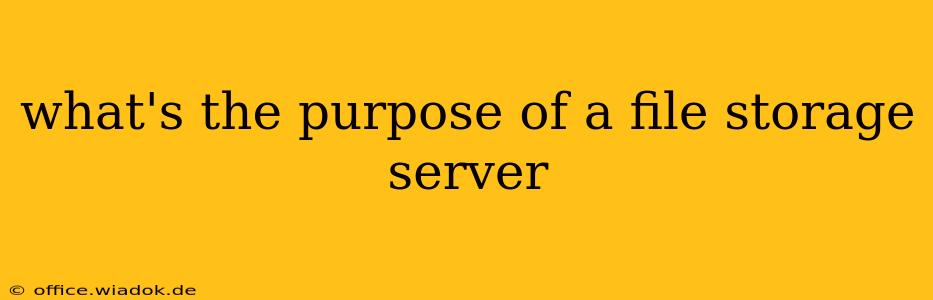 what's the purpose of a file storage server