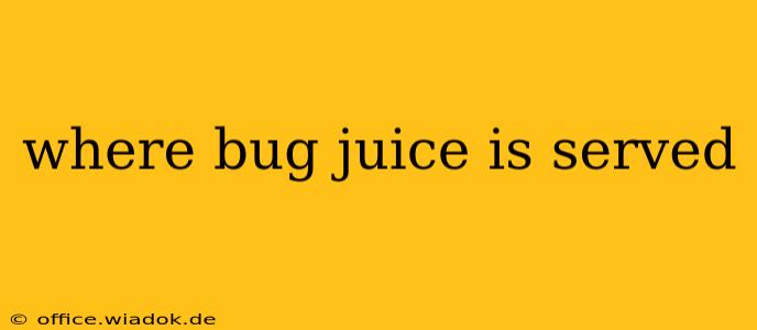 where bug juice is served