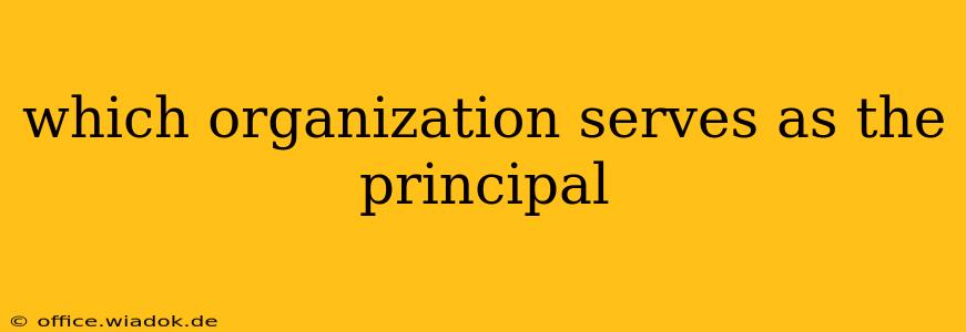 which organization serves as the principal