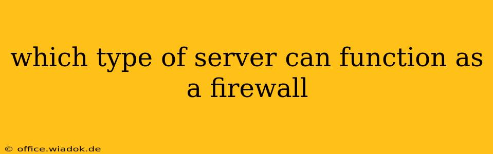 which type of server can function as a firewall