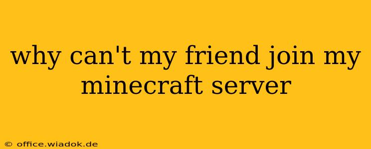 why can't my friend join my minecraft server