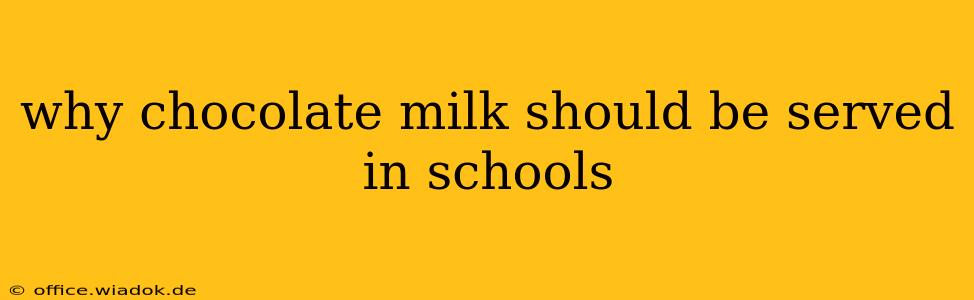 why chocolate milk should be served in schools